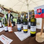 Vinná stezka na Stezce korunami stromů Krkonoše