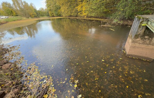 Krok k ochraně a lepšímu prostředí. Rybník ve Volanově čeká odbahnění