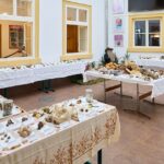 Výstava hub v Muzeu Podkrkonoší v Trutnově