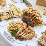 Výstava hub v Muzeu Podkrkonoší v Trutnově