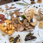 Výstava hub v Muzeu Podkrkonoší v Trutnově