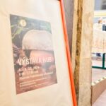 Výstava hub v Muzeu Podkrkonoší v Trutnově