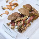 Výstava hub v Muzeu Podkrkonoší v Trutnově