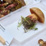 Výstava hub v Muzeu Podkrkonoší v Trutnově