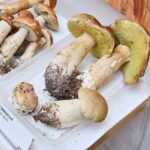 Výstava hub v Muzeu Podkrkonoší v Trutnově