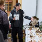 Výstava hub v Muzeu Podkrkonoší v Trutnově