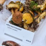 Výstava hub v Muzeu Podkrkonoší v Trutnově