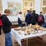 Výstava hub v Muzeu Podkrkonoší v Trutnově