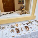 Výstava hub v Muzeu Podkrkonoší v Trutnově