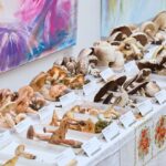 Výstava hub v Muzeu Podkrkonoší v Trutnově