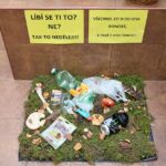 Výstava hub v Muzeu Podkrkonoší v Trutnově