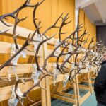 60. ročník Oblastní chovatelské přehlídky trofejí zvěře na Lesárně