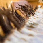 60. ročník Oblastní chovatelské přehlídky trofejí zvěře na Lesárně