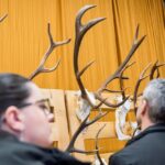 60. ročník Oblastní chovatelské přehlídky trofejí zvěře na Lesárně
