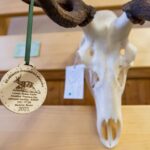 60. ročník Oblastní chovatelské přehlídky trofejí zvěře na Lesárně