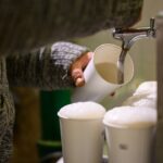 Webrovkafest na Klučance - 21. ročník