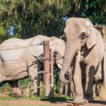 Týden duchů ve dvorské zoo