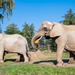 Týden duchů ve dvorské zoo
