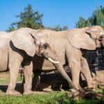 Týden duchů ve dvorské zoo