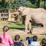 Týden duchů ve dvorské zoo
