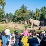 Týden duchů ve dvorské zoo