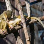 Týden duchů ve dvorské zoo