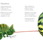 Knížka Neochočené básničky