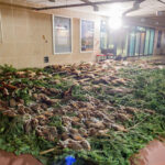 FOTO: Hubertská zábava zahájila plesovou sezonu v Trutnově