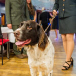 FOTO: Hubertská zábava zahájila plesovou sezonu v Trutnově