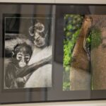 Stále fotíme... výstava snímků KDÚ Trutnov