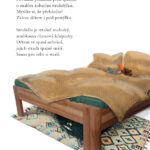 Knížka Neochočené básničky