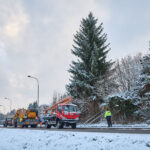 Ze zahrady na náměstí. Trutnov už má v centru města vánoční strom