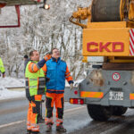 Ze zahrady na náměstí. Trutnov už má v centru města vánoční strom