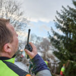 Ze zahrady na náměstí. Trutnov už má v centru města vánoční strom