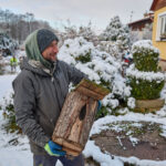 Ze zahrady na náměstí. Trutnov už má v centru města vánoční strom