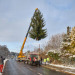 Ze zahrady na náměstí. Trutnov už má v centru města vánoční strom