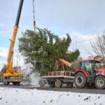 Ze zahrady na náměstí. Trutnov už má v centru města vánoční strom