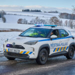 Ze zahrady na náměstí. Trutnov už má v centru města vánoční strom