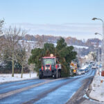 Ze zahrady na náměstí. Trutnov už má v centru města vánoční strom