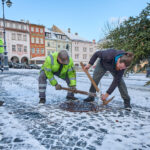 Ze zahrady na náměstí. Trutnov už má v centru města vánoční strom