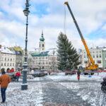 Ze zahrady na náměstí. Trutnov už má v centru města vánoční strom