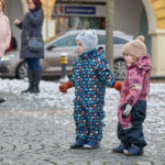 Ze zahrady na náměstí. Trutnov už má v centru města vánoční strom
