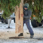 Ze zahrady na náměstí. Trutnov už má v centru města vánoční strom