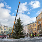 Ze zahrady na náměstí. Trutnov už má v centru města vánoční strom