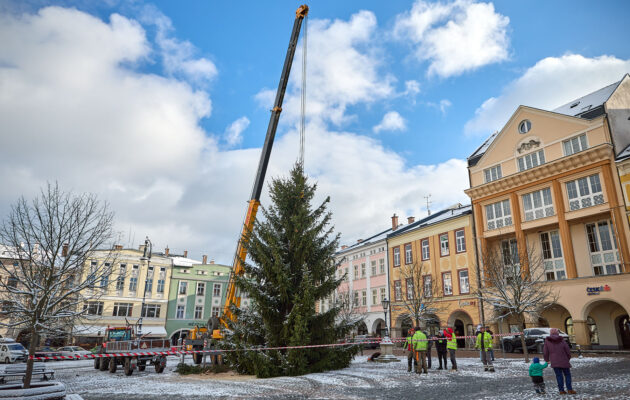 Instalace vánočního stromu na Krakonošově náměstí