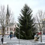 Ze zahrady na náměstí. Trutnov už má v centru města vánoční strom