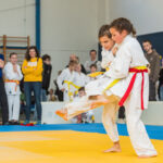 Velká cena Trutnova v judu - 26. ročník
