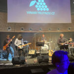 FOTO: Přátelé dobrého vína se sešli na bále v Uffu