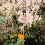 Dům obnovy tradic, ekologie a kultury – DOTEK v Horním Maršově