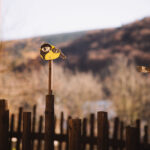 Dům obnovy tradic, ekologie a kultury – DOTEK v Horním Maršově